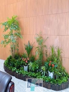 建邺企业大厅绿植组合摆放